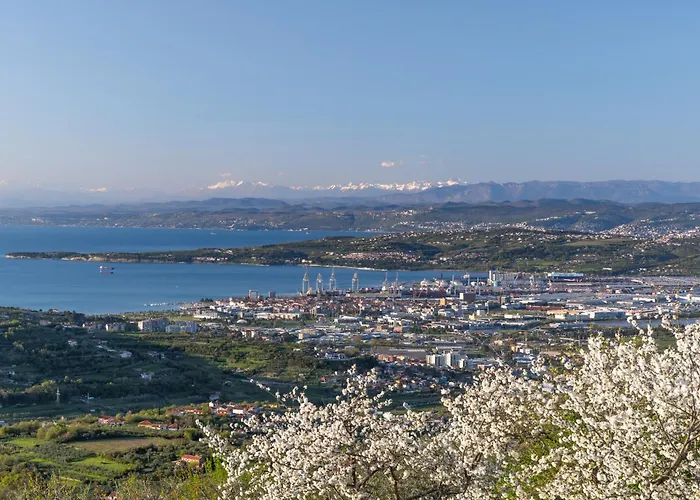 Seaview 펜션 Šmarje